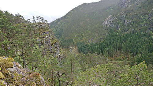 Looking back down Ljotådalen from where the trail markers ended
