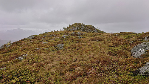 Approaching the summit of Haugafjellet