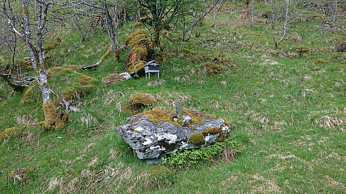 Slåsetret at the top of Erdalen