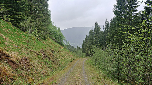 The gravel road down to Eikeland