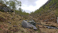 Dalaskaret