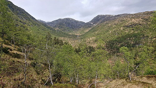 Sætradalen with Tverrfjellet at the center and Raunefjellet to the right