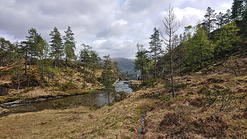 The unfinished dam across Nottveitelva