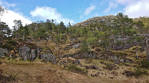Ascending to Raunefjellet