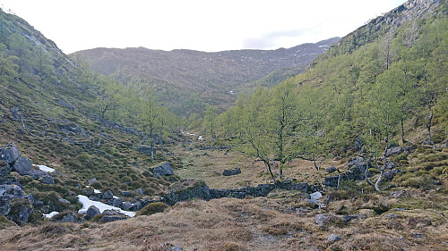 Returning to Eiterdalen