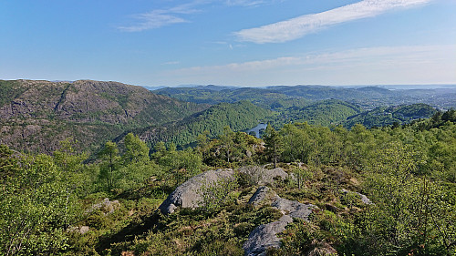 Furekampane (and more) from the trig marker at Gløvrehaugen