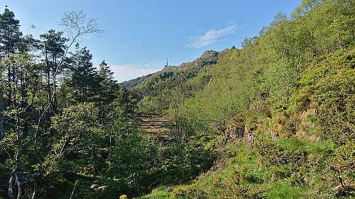 Towards the antenna at Ulriken with the cabin Stormfuglen up to the right