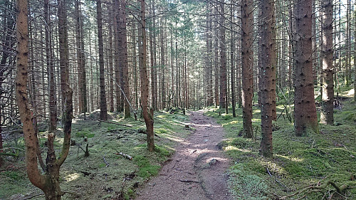 Trail to Sundnessåta