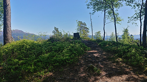 The highest point at Toftåsen