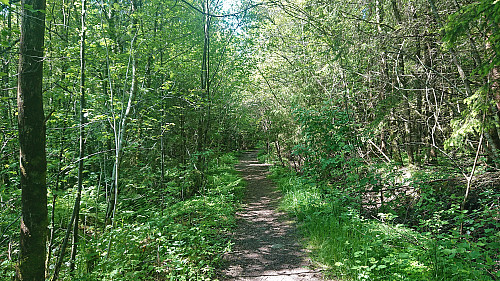 Marked trail to Brattåsen