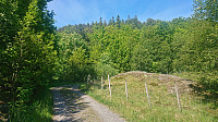 Approaching the trailhead