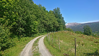 Trailhead to the left