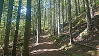 Trail to the summit
