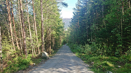 Following a gravel road back to the car