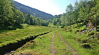 Skjeggedalen