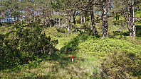 Single trail marker at Skeidalssetra