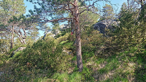 A second trail marker above Skeidalssetra
