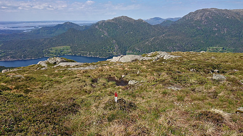 Another lonely trail marker found during the descent. Austefjellet in the background.