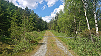 Tractor road north of Storevatnet