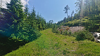 Approaching the trailhead