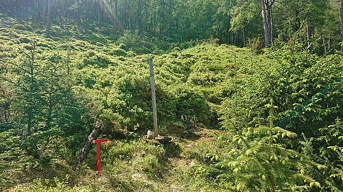 The marked trailhead