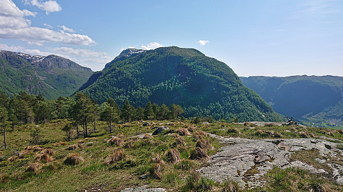 Ådneburen from Litlefjellet