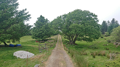 Gravel road to Skansen