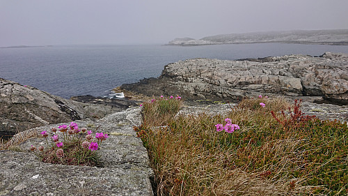 Views across Seiavågen