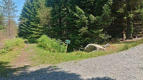 Leaving the bike behind when the trail forked for the final time