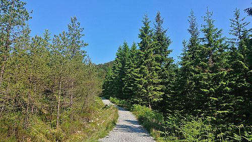 Gravel road towards the summit