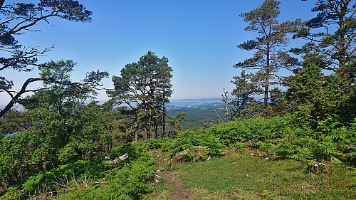 Northwest from Adlesi