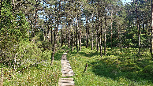 Approaching the summit