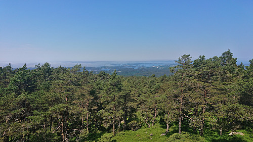 Northwest from the tower