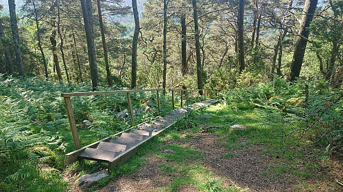 Descending along the orange trail