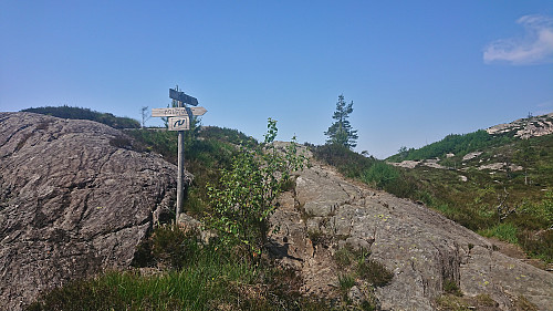 Forking right for Kolltveit