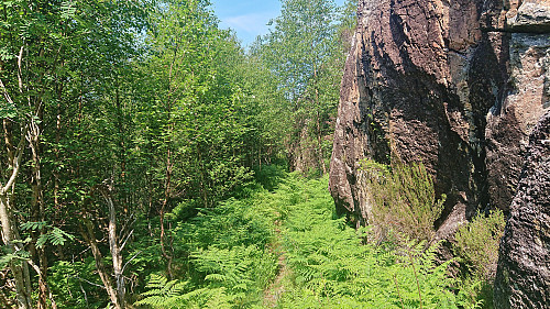 Narrow passage east of the southern end of Nubbavatnet
