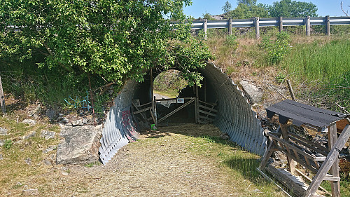 Crossing underneath Skjergardsvegen to get to Kolltveit