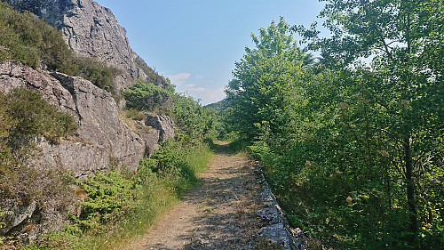 Old tractor road to Kolltveit