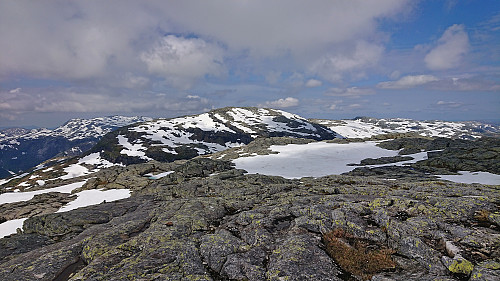 Skrott from Manfjellet