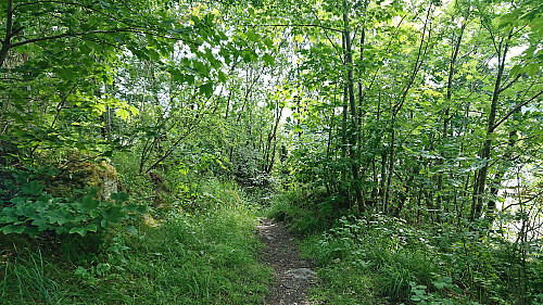 Trail to the trig marker