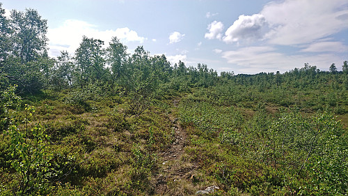 Buføringsvegen, i.e. the trail between Remlo and Fjosstølen