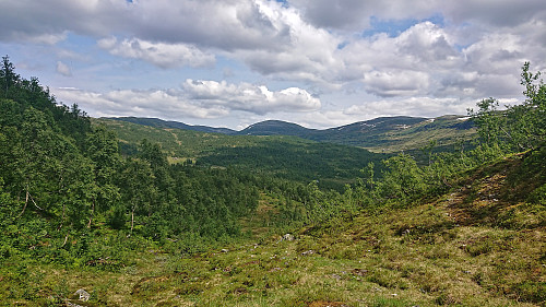 Looking back at Bjørnafjellet from buføringsvegen