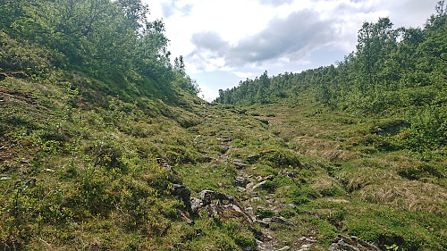 Buføringsvegen