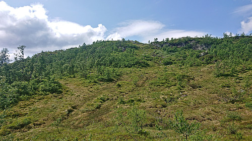 Heading off-trail towards the summit