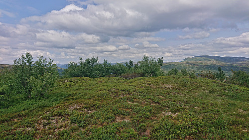 The summit area at Høgenoltane with Storanosi in the background