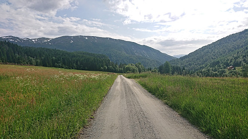Following Fyrjavegen back to the train station