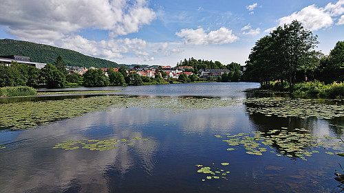 Solheimsvatnet