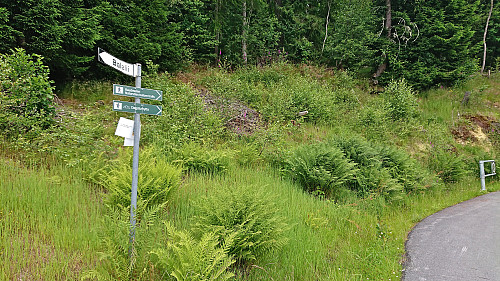 The marked trailhead