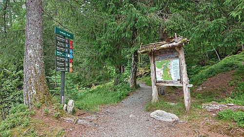 Lots of signs showing the many possible trails in the area