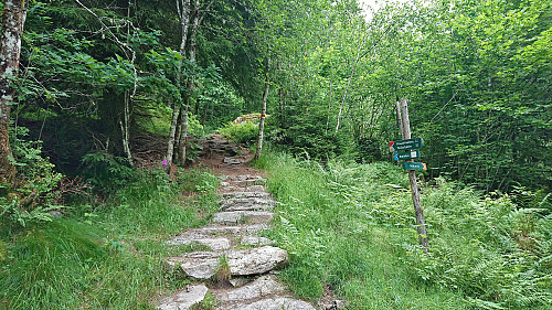 The trail to Balabu